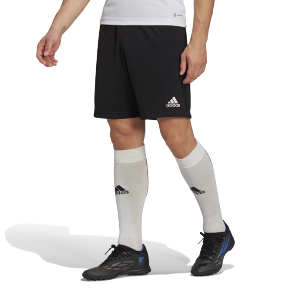 Entrada 22 Training Short