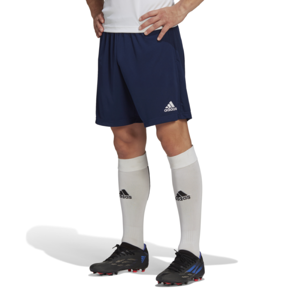 Entrada 22 Training Short