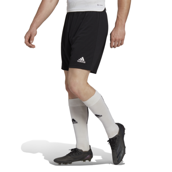 Entrada 22 Short