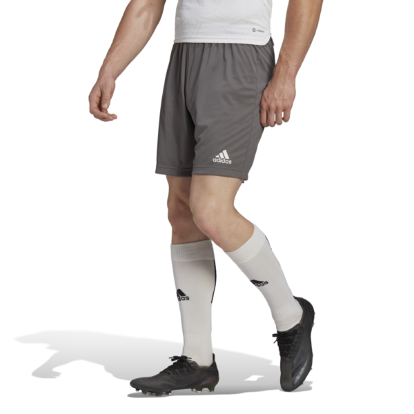 Entrada 22 Short