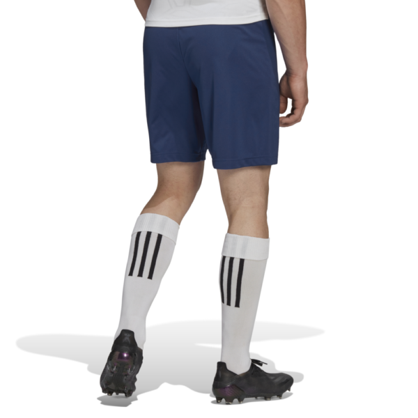 Entrada 22 Short