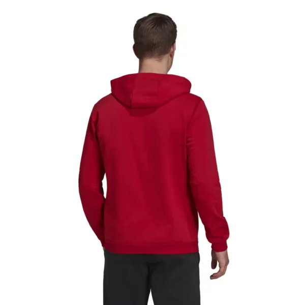 Entrada 22 Hoody