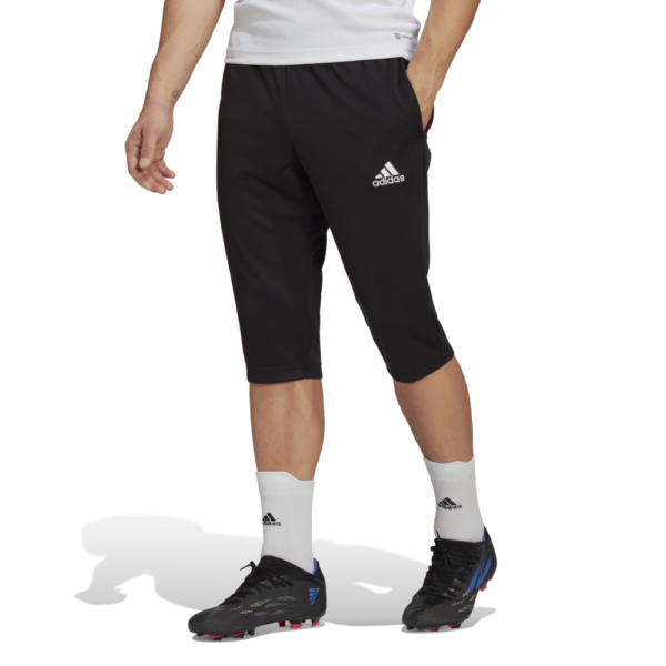 Entrada 22 3/4 Pant