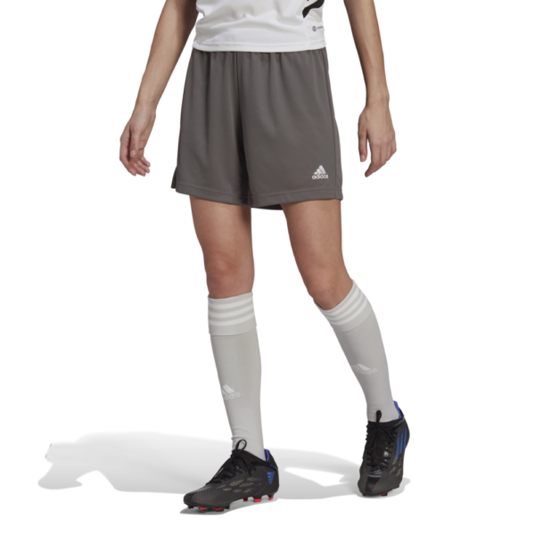 Women's Entrada 22 Short