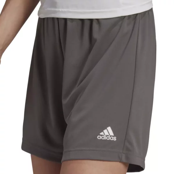 Women's Entrada 22 Short