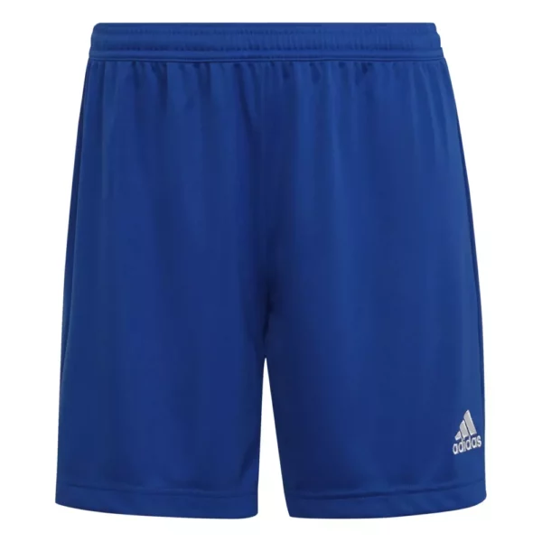 Women's Entrada 22 Short