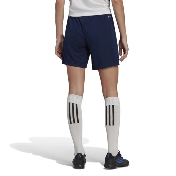 Women's Entrada 22 Short