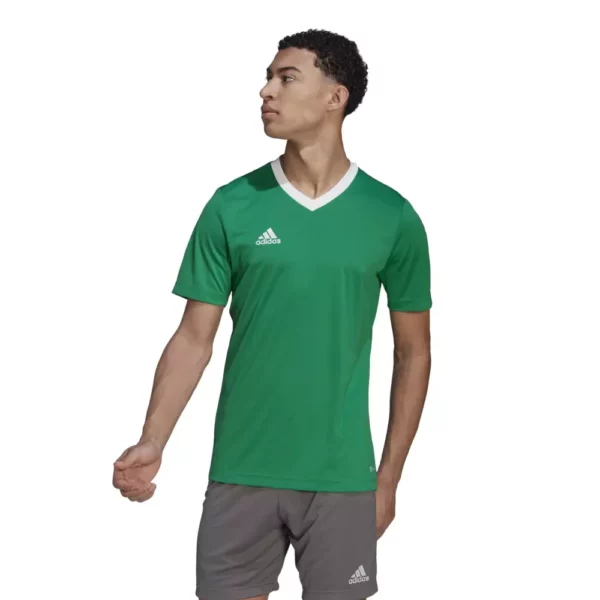 Entrada 22 Jersey (Short Sleeve)