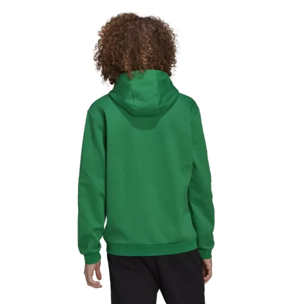 Entrada 22 Hoody