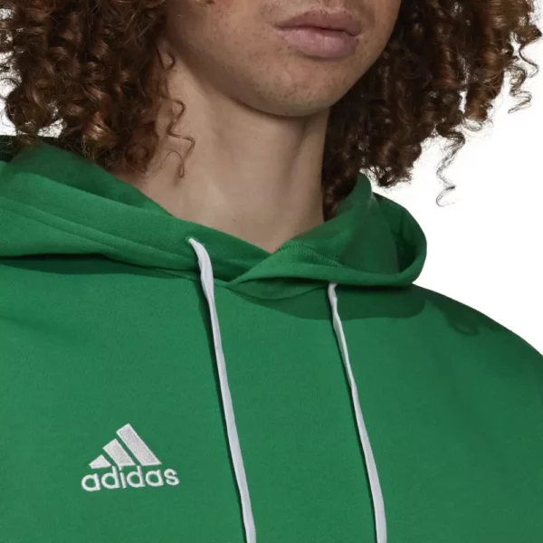 Entrada 22 Hoody