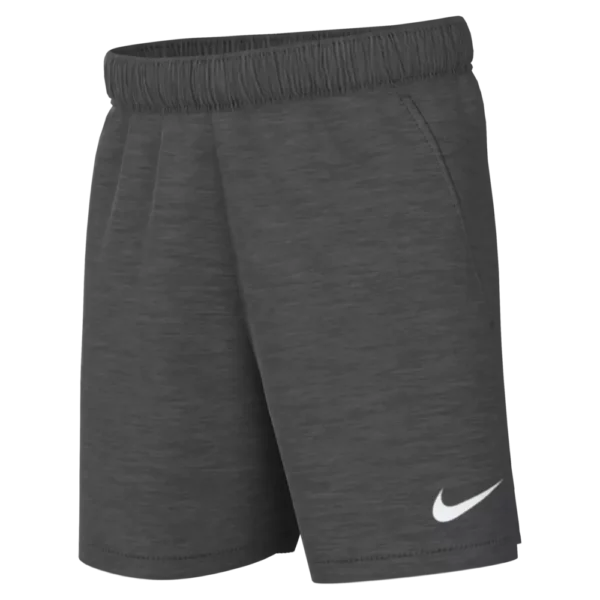 Park 20 Short