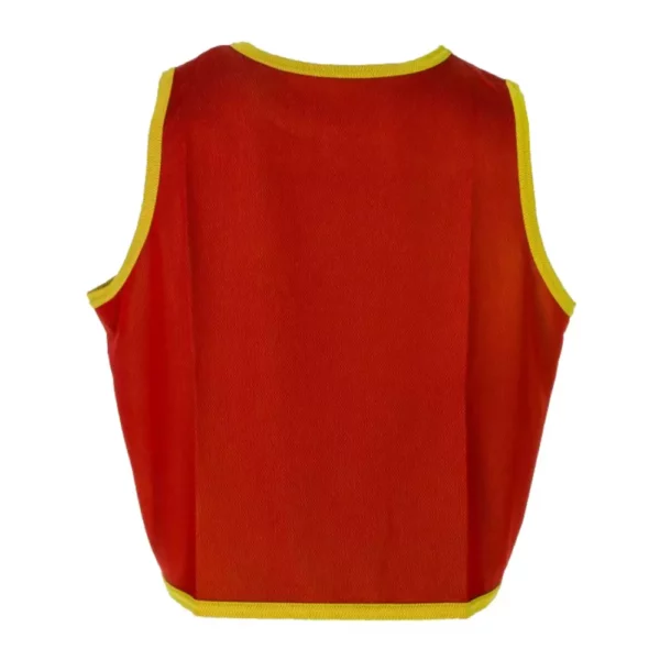 Reversible Bib