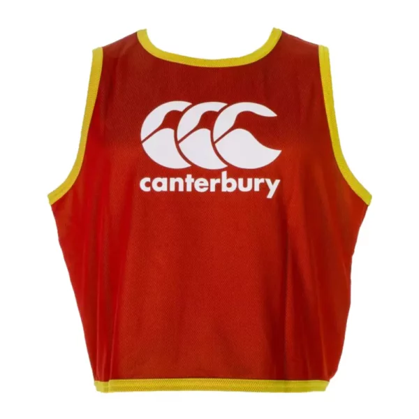 Reversible Bib