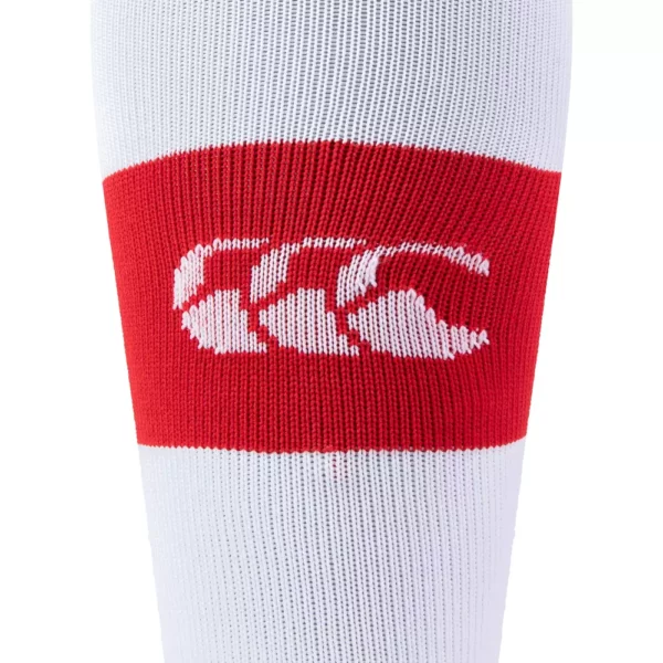 Club Hooped Sock