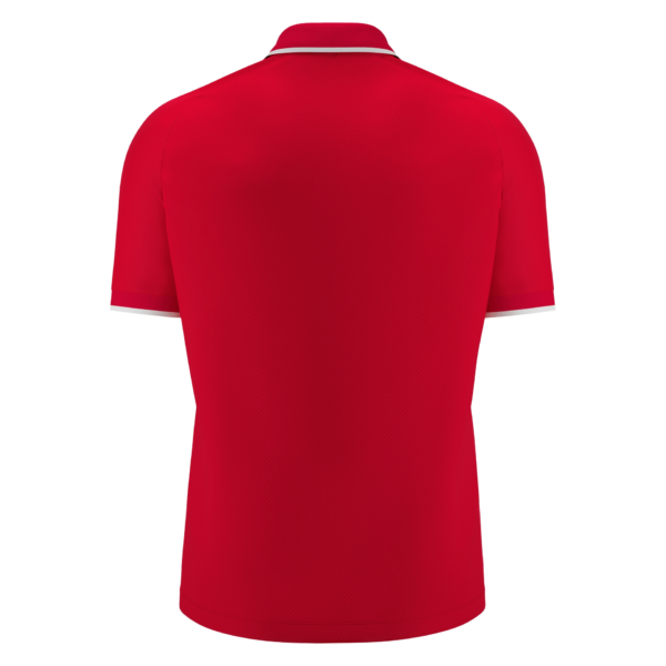 Aulos Polo