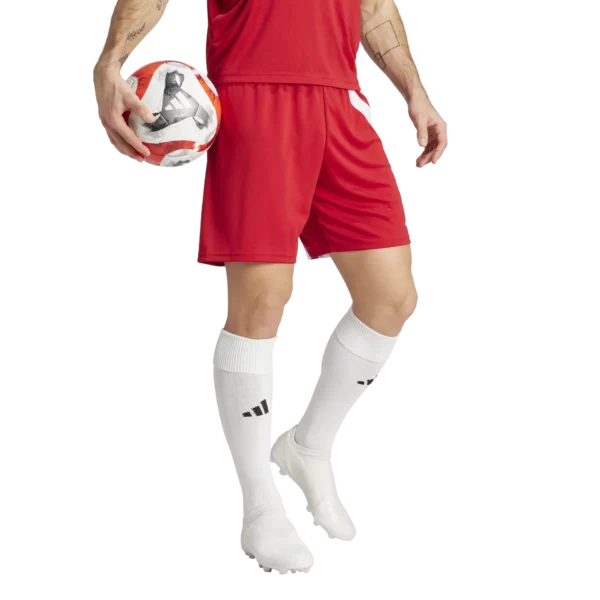 Fortore 23 Short