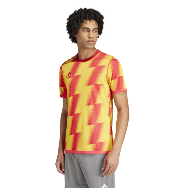 Reversible 24 Jersey (Short Sleeve)
