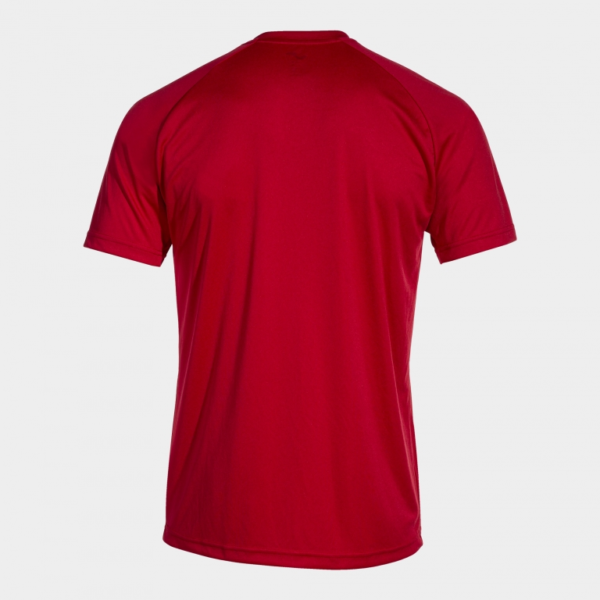 Inter IV Jersey (Short Sleeve)