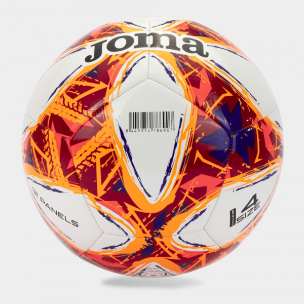 Challenge III Training Ball