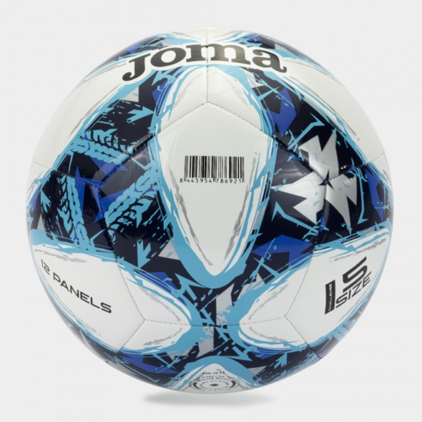 Challenge III Training Ball