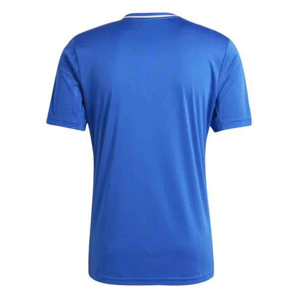 Campeon 25 Jersey (Short Sleeve)