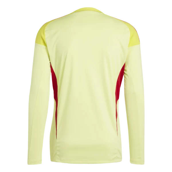 Tiro 25 Competition GK Jersey (Long Sleeve)
