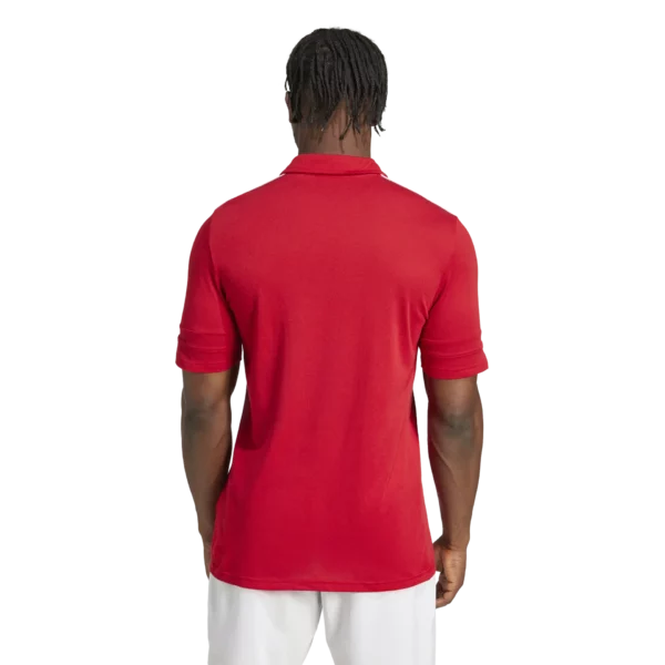 Squadra 25 Cotton Polo