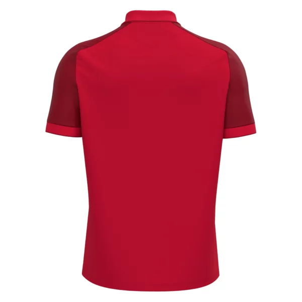 Baldwin Polo