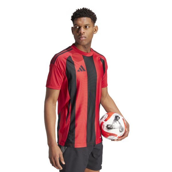 Striped 24 Jersey (Short Sleeve)