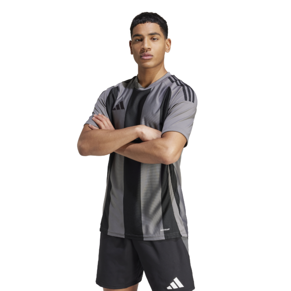 Striped 24 Jersey (Short Sleeve)