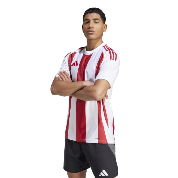 Striped 24 Jersey (Short Sleeve)