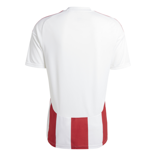 Striped 24 Jersey (Short Sleeve)