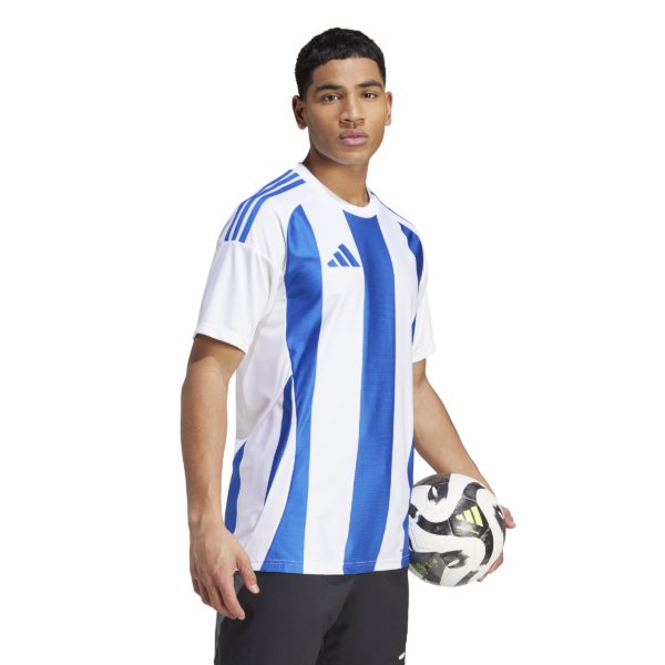 Striped 24 Jersey (Short Sleeve)