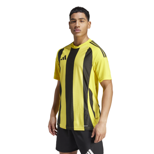 Striped 24 Jersey (Short Sleeve)