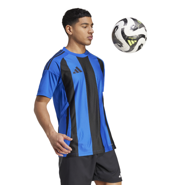 Striped 24 Jersey (Short Sleeve)