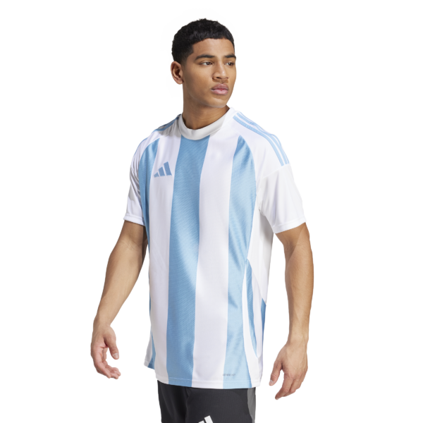 Striped 24 Jersey (Short Sleeve)