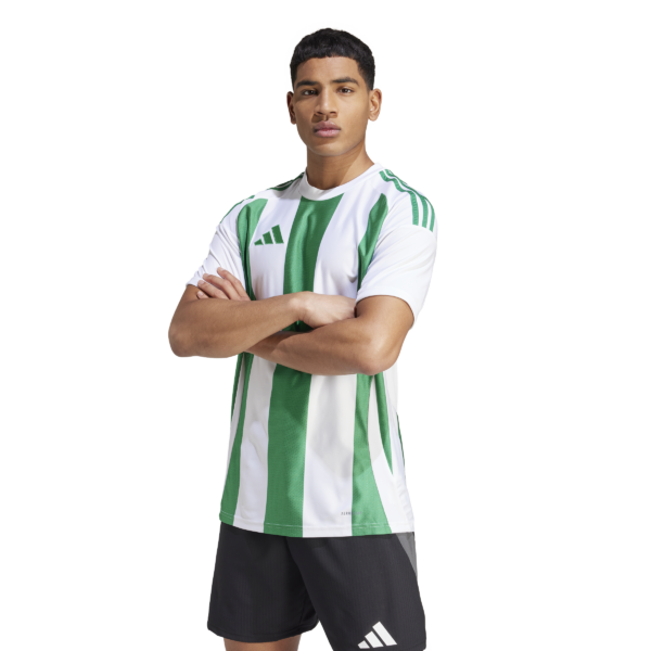 Striped 24 Jersey (Short Sleeve)
