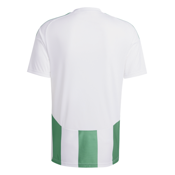 Striped 24 Jersey (Short Sleeve)