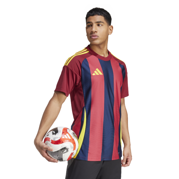 Striped 24 Jersey (Short Sleeve)