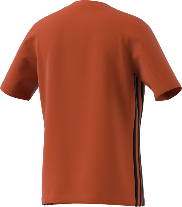 Tabela 23 Jersey (Short Sleeve)