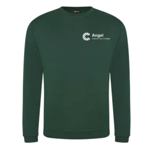 Capital City College - Student - Pro Round Neck Sweatshirt